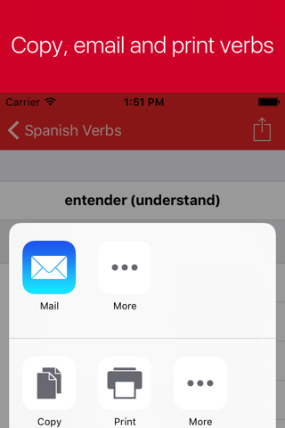 Spanish Verb Conjugator screenshot 4