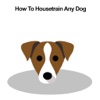 All about How To Housetrain Any Dog