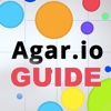 Companion Guide For Agar.io - Skins, Tricks And More!