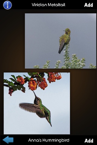 Hummingbirds Guide + screenshot 2