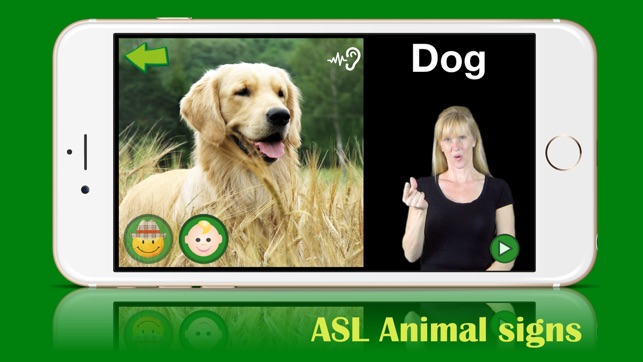 ASL Animals