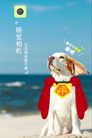 萌宠相机-猫狗的拍照神器 - náhled