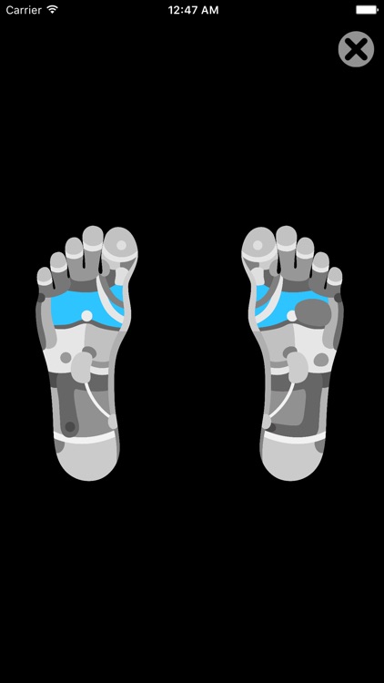 Reflexology Charts