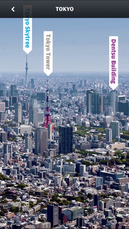 Tokyo: Wallpaper* City Guide