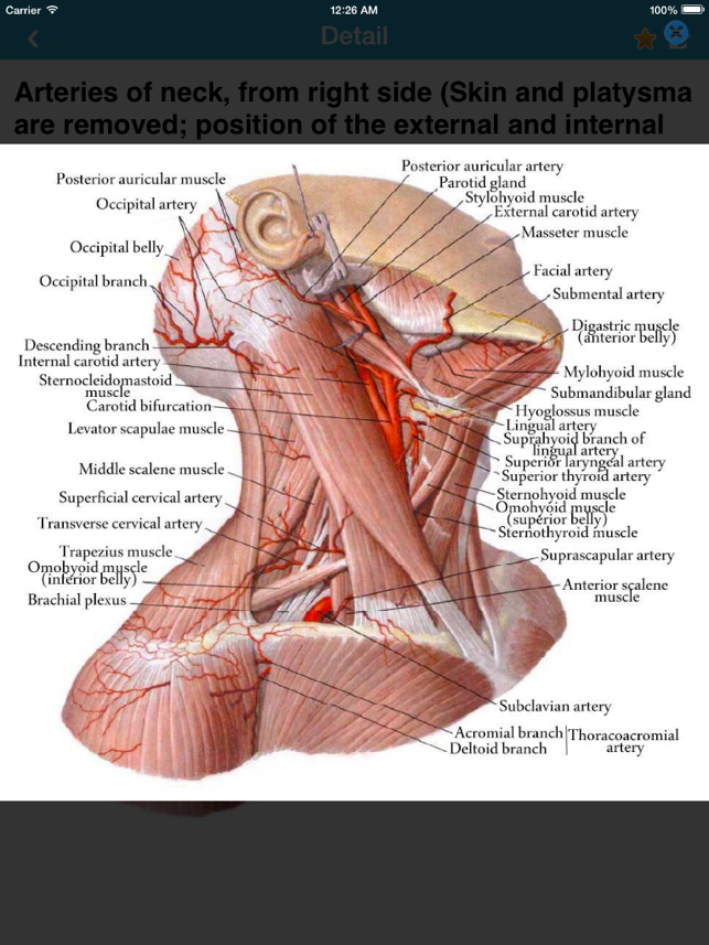 ‎Human Anatomy 2017 Screenshot