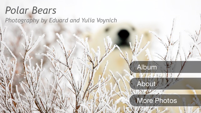 Album Polar Bears HD(圖1)-速報App