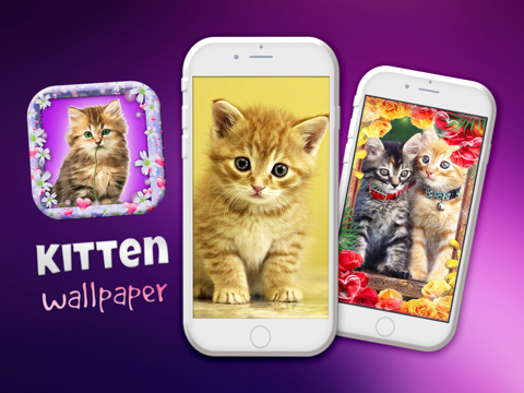 Telecharger Joli Fond D Ecran Chaton Bebe Mignon Animal De Compagnie Ecran Verrouille Theme Et Minou Chat Arriere Plans Pour Iphone Ipad Sur L App Store Style De Vie