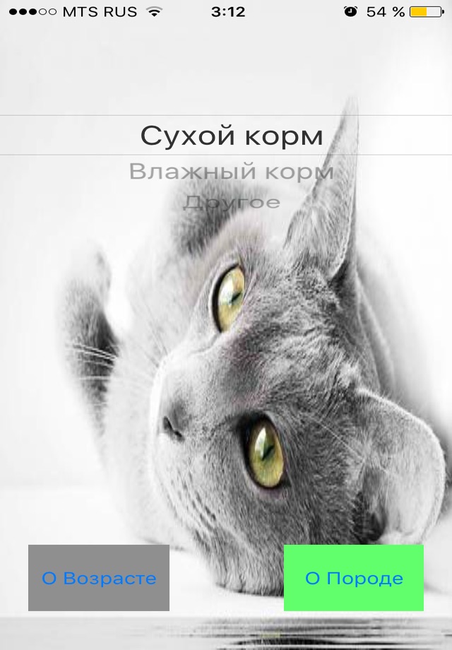 кошачий калькулятор screenshot 2