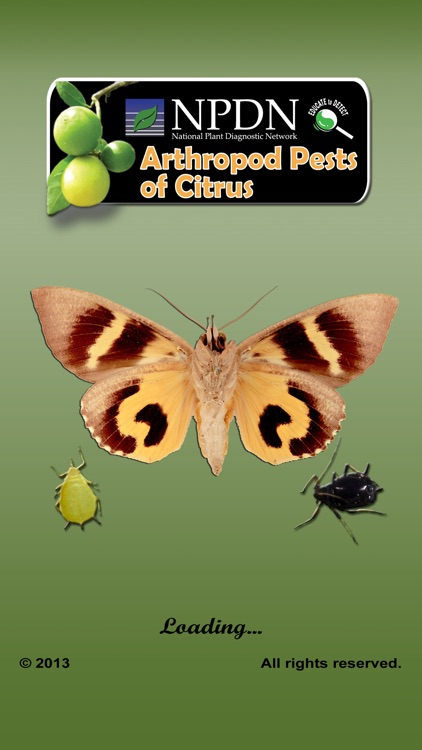 NPDN Citrus Pests