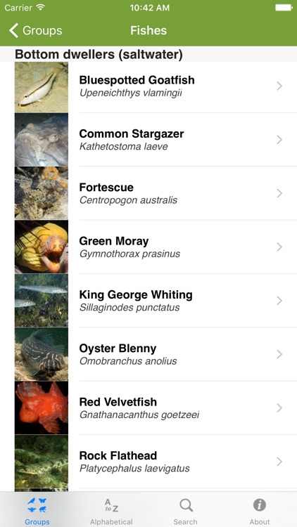 Field Guide to Victorian Fauna