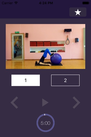 Stability Ball Exercises – Swiss Exercise Program for Strength and Physically Strong Gym Body screenshot 3