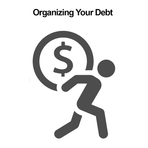 All about Organizing Your Debt