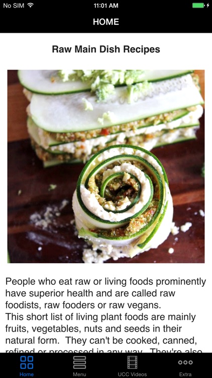 Easy Raw Main Dish Recipes - Best Healthy Raw Menu Cooking Guide & Tips Help To Ready Your Meals