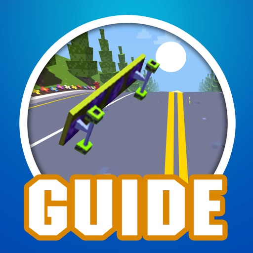Guide for Star Skater