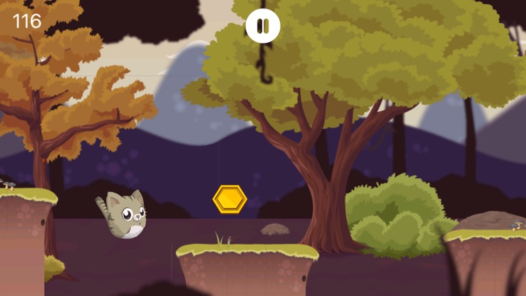 Flappy Kitty - Kitten Jump Doodle Adventure screenshot-4