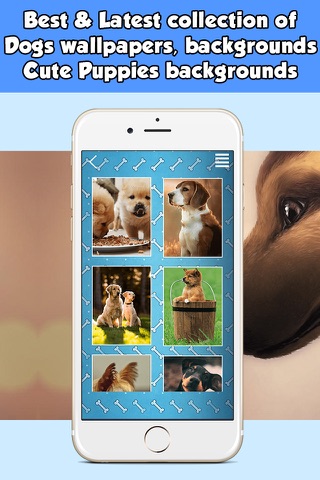 Dog Wallpapers & Backgrounds HD Free screenshot 4