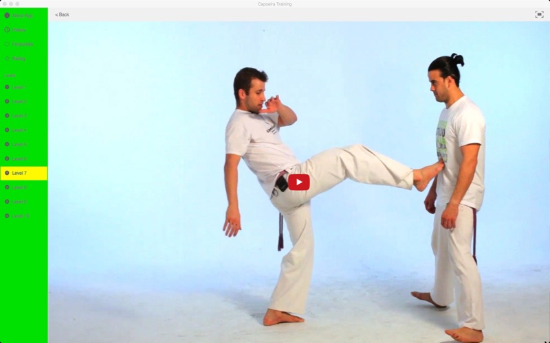 Capoeira Training thumbnail 3