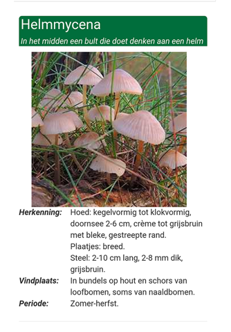 Paddenstoelen herkennen screenshot 3