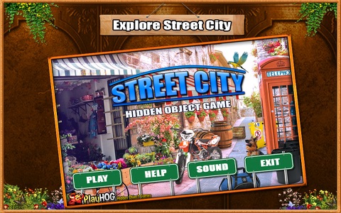 Street City Hidden Object Game screenshot 3