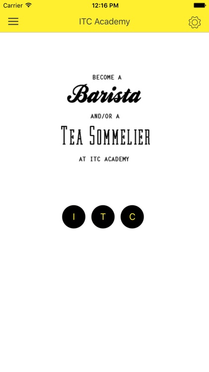 ITC Academy