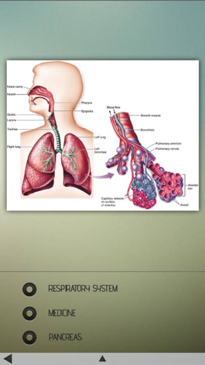 Human Body Details screenshot-4