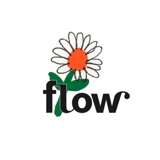 Flow Daily Moments