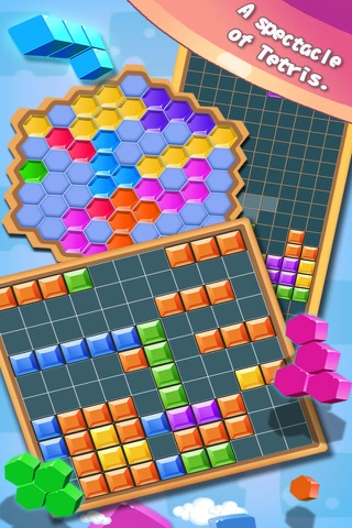 罗斯方块—单机格子小游戏新版 screenshot 2