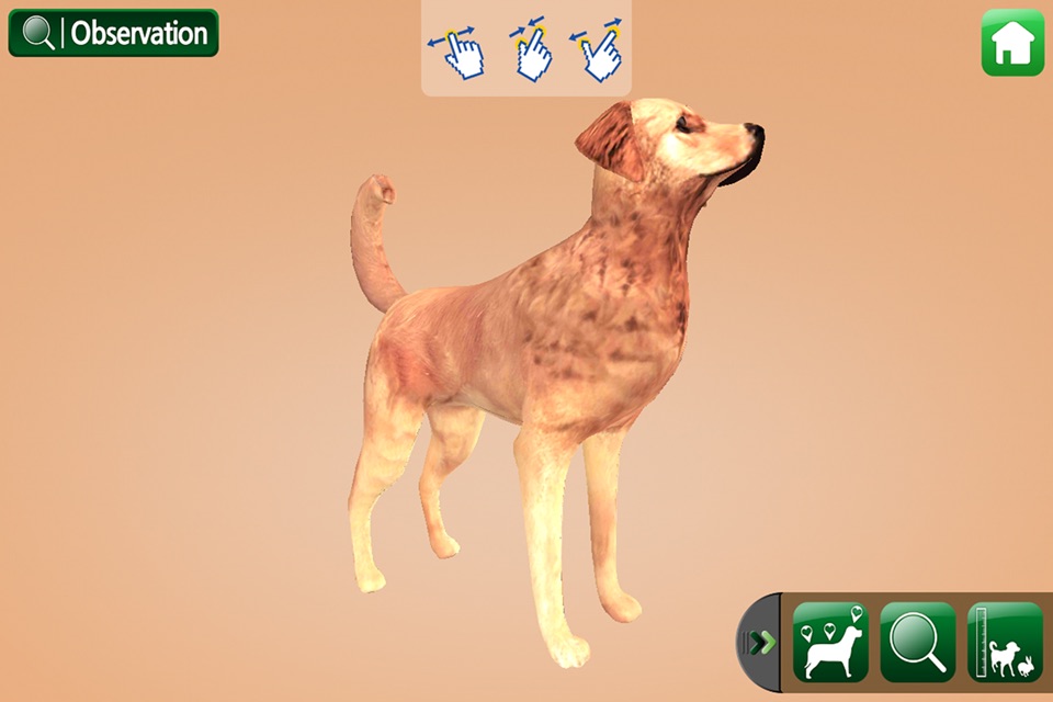 EVO FARM ANIMAL - Augmented Reality screenshot 3