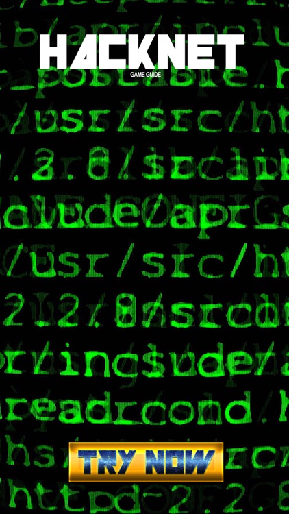 Pro Game - Hacknet Version