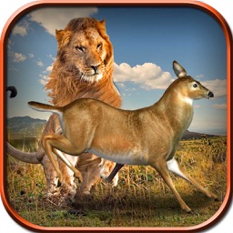 Wild Lion Simulator Game