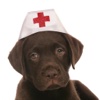 The Canine First Aid Company
