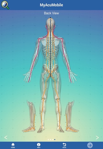 MyAcuMobile Acupuncture screenshot 2