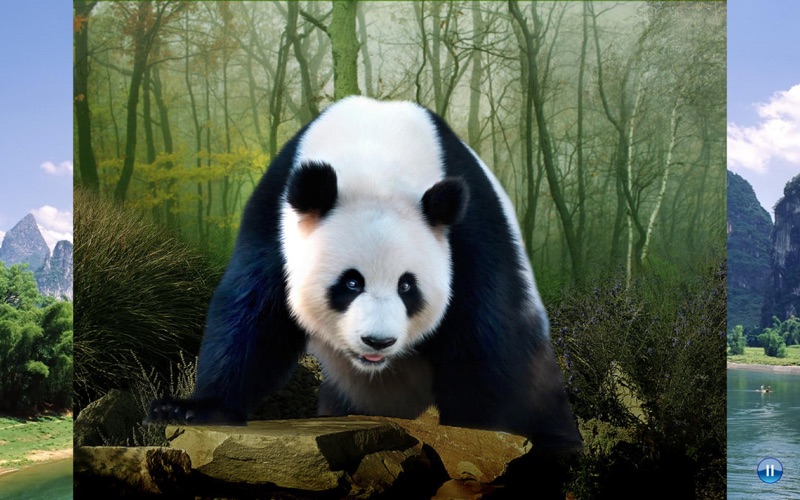 Animals China thumbnail 2