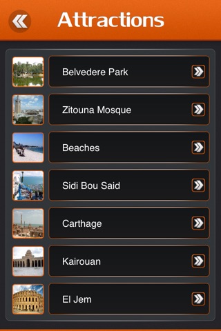 Tunis Travel Guide screenshot 3