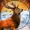 Deer Hunt Snowland