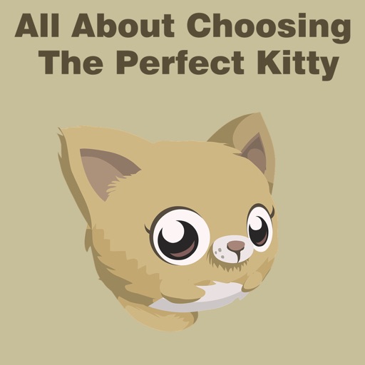 All about Choosing the Perfect Kitty icon