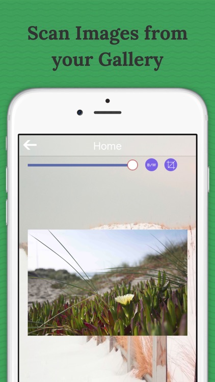 PDF Scanner-Free screenshot-3