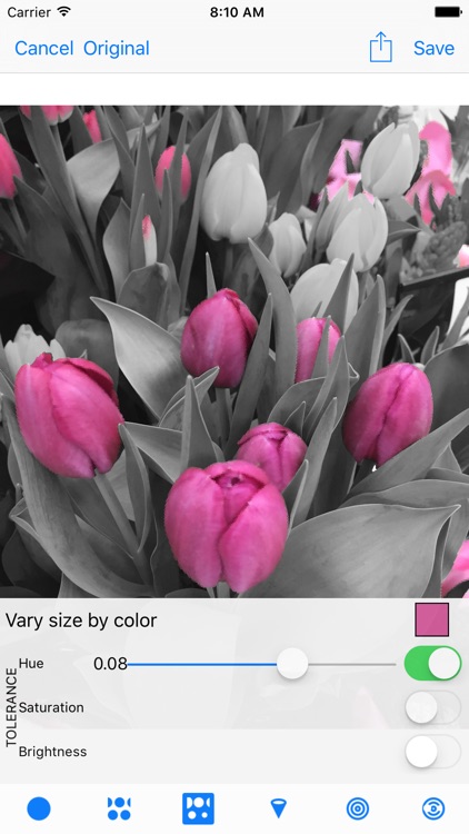 Pointillisted - Photo Artwork Generator screenshot-0