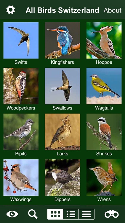 All birds Switzerland - a complete field guide to all the birds ever recorded in Switzerland