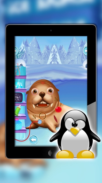 ice animal rescue - Feed The Animals with Pet Salon, Doctor screenshot-3