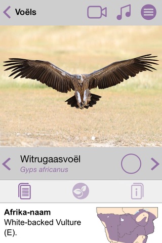 Sasol Algemene Voëls vir Beginners (Volle weergawe): Blitsfeite, foto's en video's van 46 Suider-Afrikaanse voëls screenshot 3
