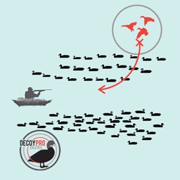 Duck Hunting Diagram Builder-Duck Hunting Spreads