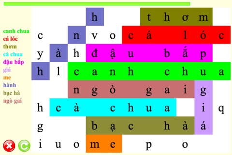 Tìm Từ Siêu Tốc screenshot 4