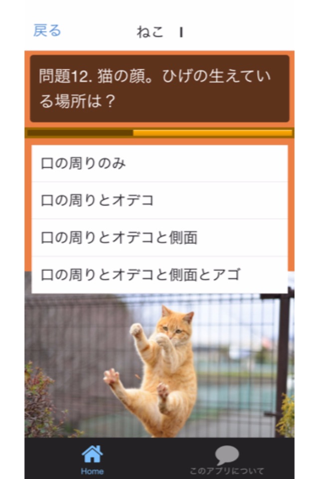 ネコクイズにゃん screenshot 2