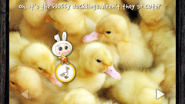 Oink! Learn Farm Animal Sound: Preschool Education screenshot-3