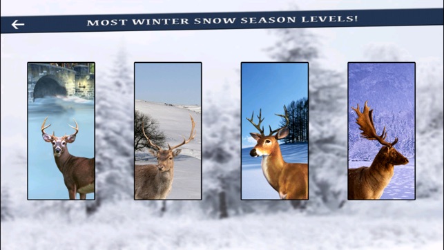 Deer Hunter Winter Snow challenge Shoote