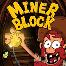 Activities of Miner Block