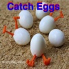 Catch Eggs Free 2016