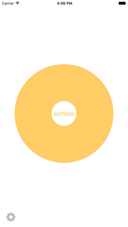 Slow Breaths - Breathing Meditation Exercise