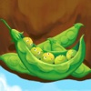 经典童话故事：一个豆荚里的五粒豆